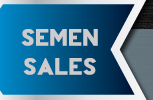 Semen Sales